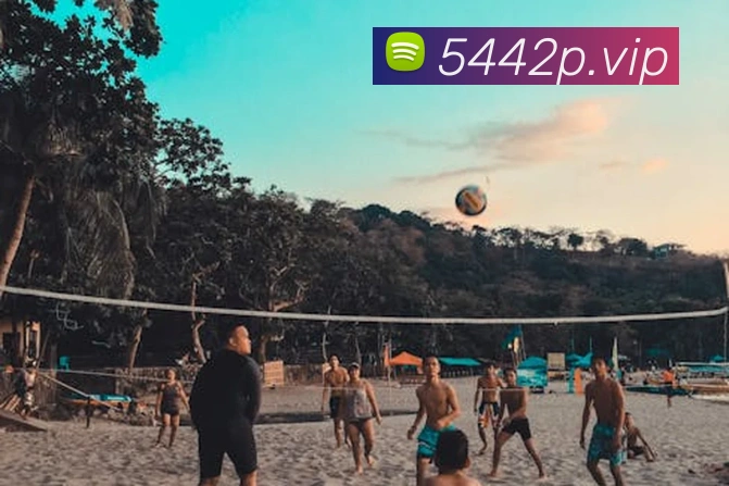 奖项证书